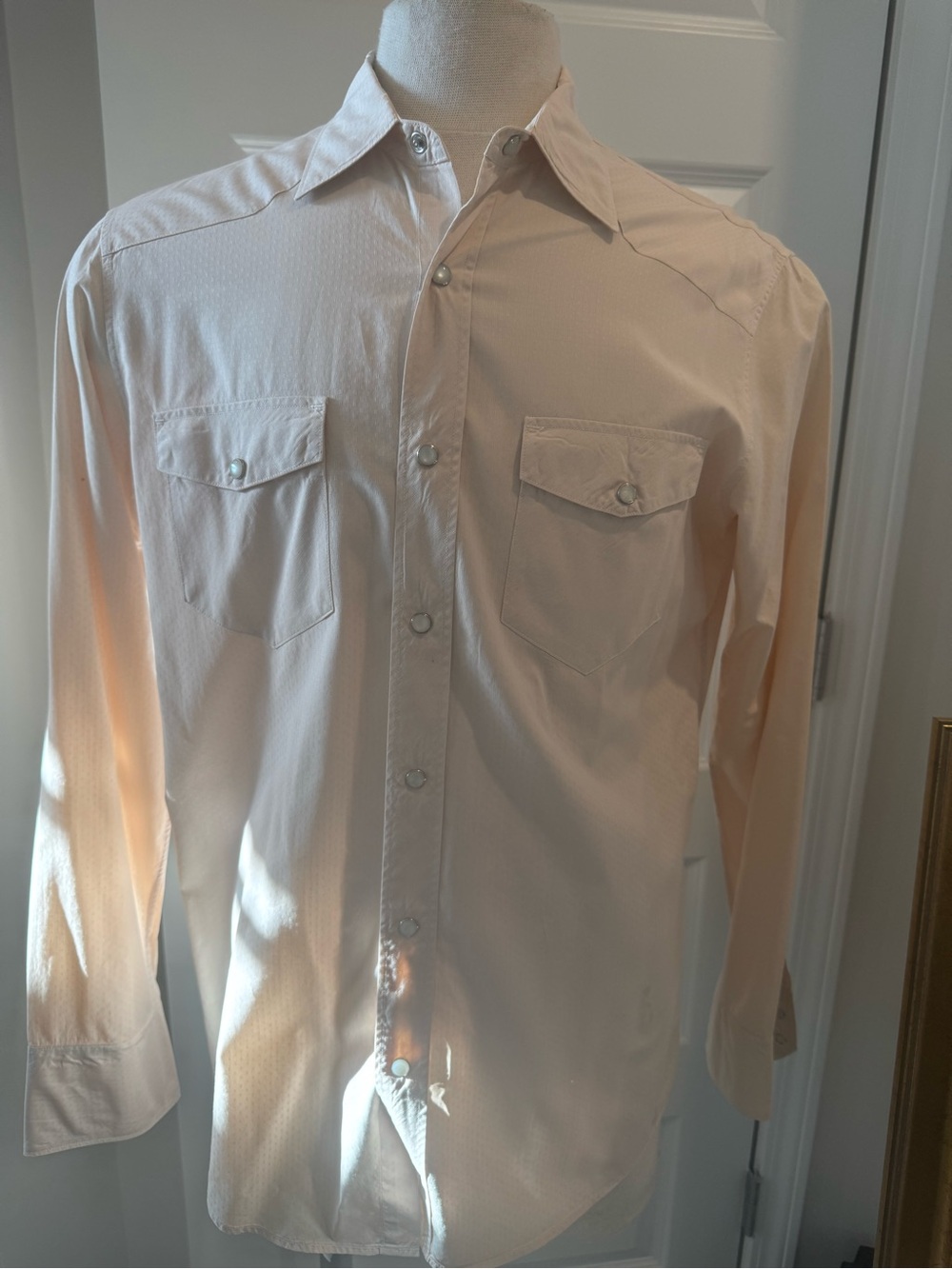Banana Republic Men's Long-Sleeve Western Shirt in Light Peach Size Medium